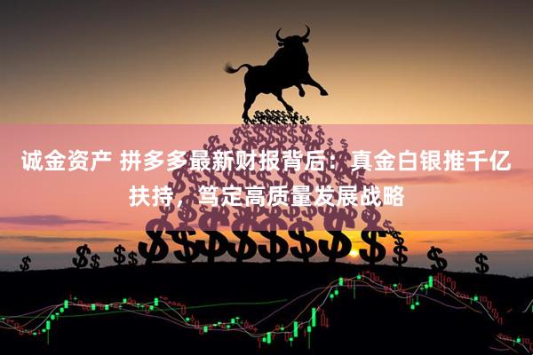 诚金资产 拼多多最新财报背后：真金白银推千亿扶持，笃定高质量发展战略
