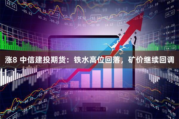 涨8 中信建投期货：铁水高位回落，矿价继续回调