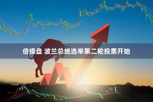 倍操盘 波兰总统选举第二轮投票开始