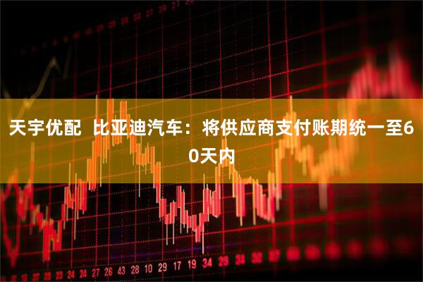 天宇优配  比亚迪汽车：将供应商支付账期统一至60天内
