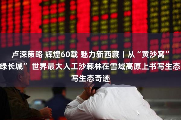 卢深策略 辉煌60载 魅力新西藏丨从“黄沙窝”到“绿长城” 世界最大人工沙棘林在雪域高原上书写生态奇迹