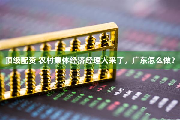 顶级配资 农村集体经济经理人来了，广东怎么做？