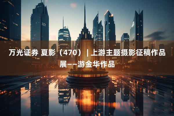 万光证券 夏影（470） | 上游主题摄影征稿作品展——游金华作品