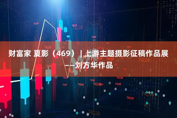 财富家 夏影（469） | 上游主题摄影征稿作品展——刘方华作品
