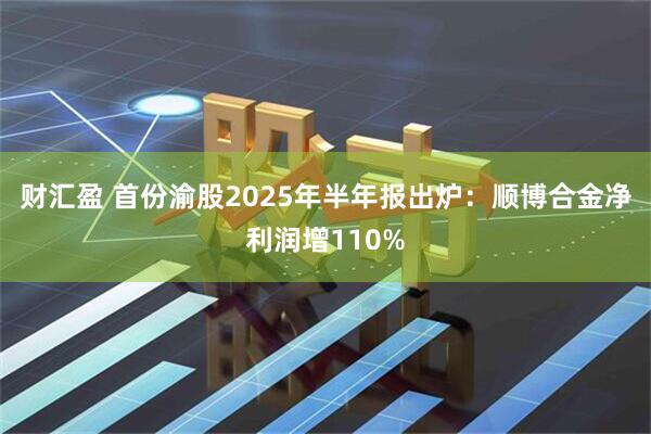 财汇盈 首份渝股2025年半年报出炉：顺博合金净利润增110%