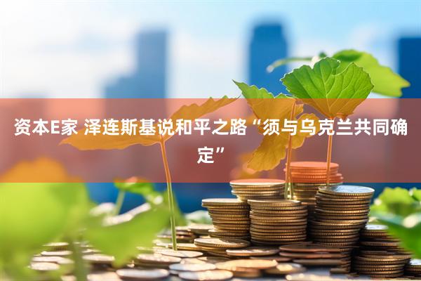 资本E家 泽连斯基说和平之路“须与乌克兰共同确定”