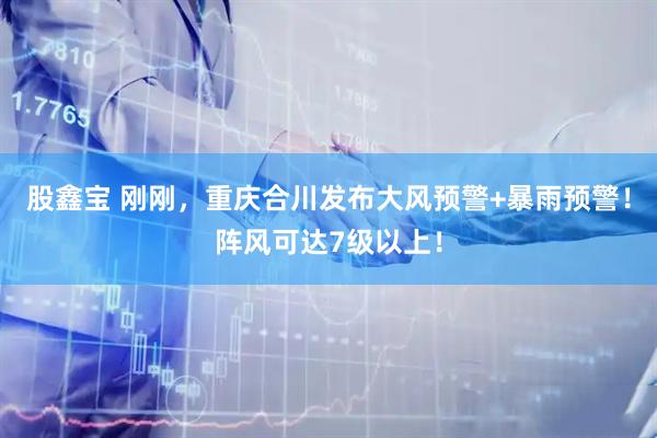 股鑫宝 刚刚，重庆合川发布大风预警+暴雨预警！阵风可达7级以上！