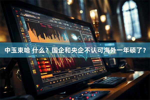 中玉束哈 什么？国企和央企不认可海外一年硕了？