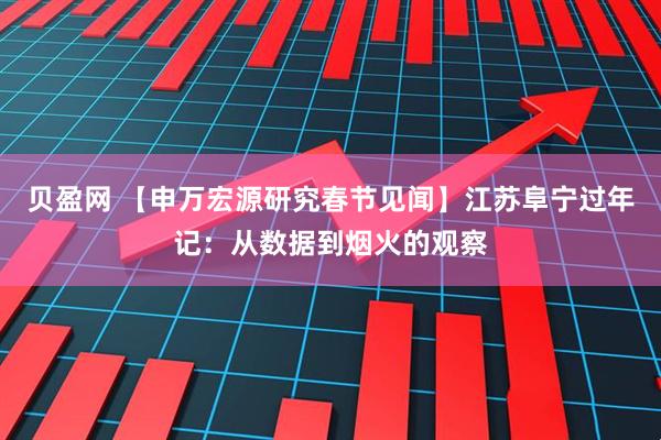 贝盈网 【申万宏源研究春节见闻】江苏阜宁过年记：从数据到烟火的观察